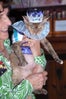 cat-fashion-show-20