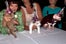 cat-fashion-show-75