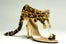 crazy-shoes-leopard-heel