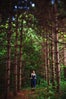 frei-designs-7