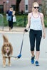 Amanda_Seyfried