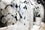 INDO-JasonWU_1633