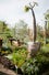 11_Nursery---Merrihew's-3