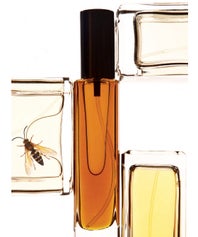 perfume