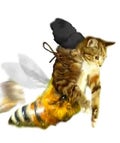 bootcat_open