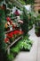 03_Nursery---Mickey-Hargitay-Plants-6