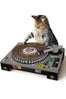 uncommon-goods-cat-dj-scratch-pad-35-slide