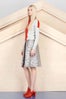 Alexander-Lewis-PreFall-2013-10
