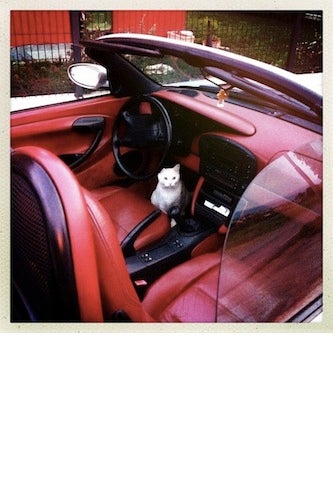 richcat3 - edited