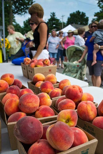 Farmers-Market_Courtesy-American-Marketsslide