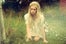 ld_bridal-31