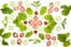 spinach_smoothie_049_600x400