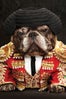 nars-marcel-dog-8