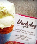 black dog thumb