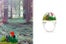 Snow Globes Rings- Shannnam Snow Globe Rings
