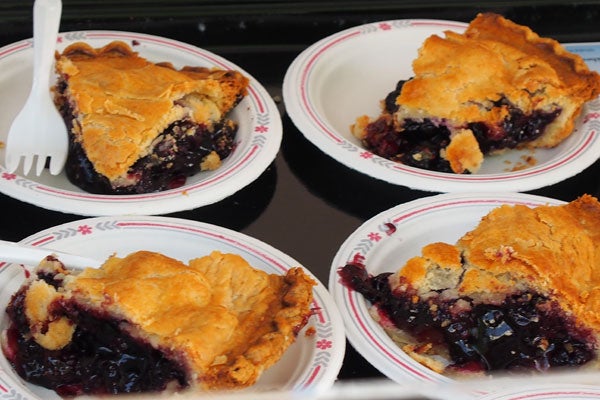 Shut-Your-Pie-HoleP6020043