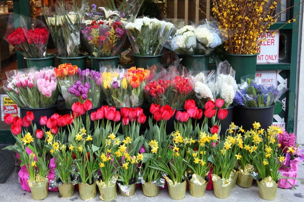 flowers
