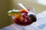 Sangria Slushie