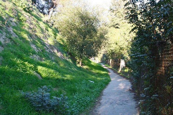 Corralitas1