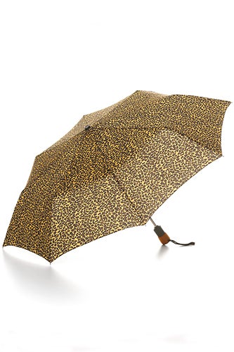 umbrella3