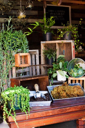 11_MOSS_CRATE_SUPPLIES