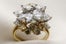 Isadora Yellow&whitediamond-isadoras-$12,650
