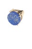 ring-1