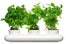 Tabletop_LOCAL_Herb-Pot-Trio_58