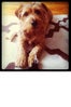 rudy