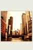 NEWtracey-capone-photography_etsy_30