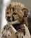 cheetahsmain