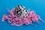 LisaD_02