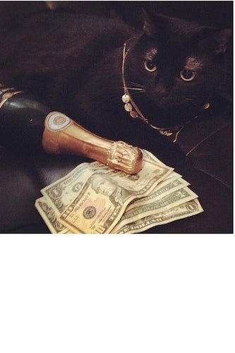 richcat5 -edited