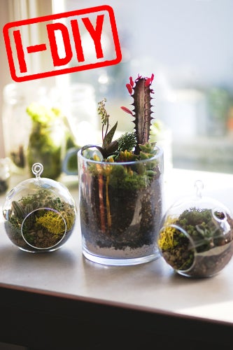 diy gardening project