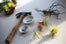 diy gardening project