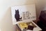 10Stephen_105