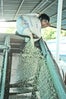 honduras-3