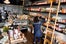 Little_Vine_002