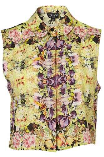 insect trend