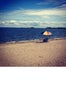 laura_miller