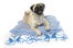 trixie-and-peanut-oasis-pet-bed-59-slide