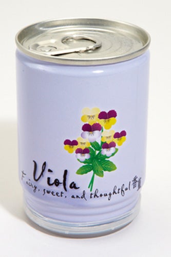 hostessgifts-fredflare-flowersincan