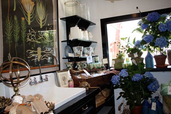 botany-insidetheshop_10