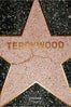 terrywood-barnesandnoble-41