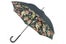umbrella6