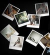 alvin_opener