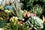 05_Sheridan-Gardens-04