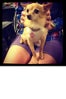 lady