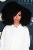 lipstick-solange-knowles