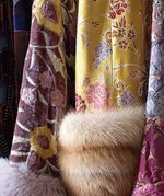 5 Things To Know This AM furs